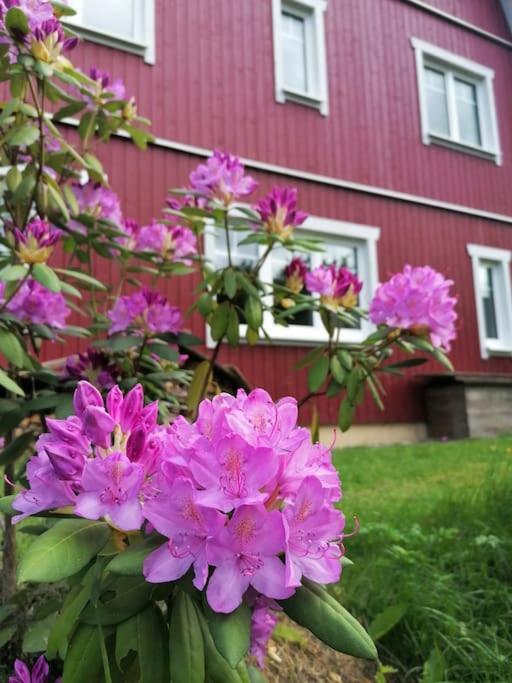 Haus Gruenfels Apartment Murau Eksteriør billede