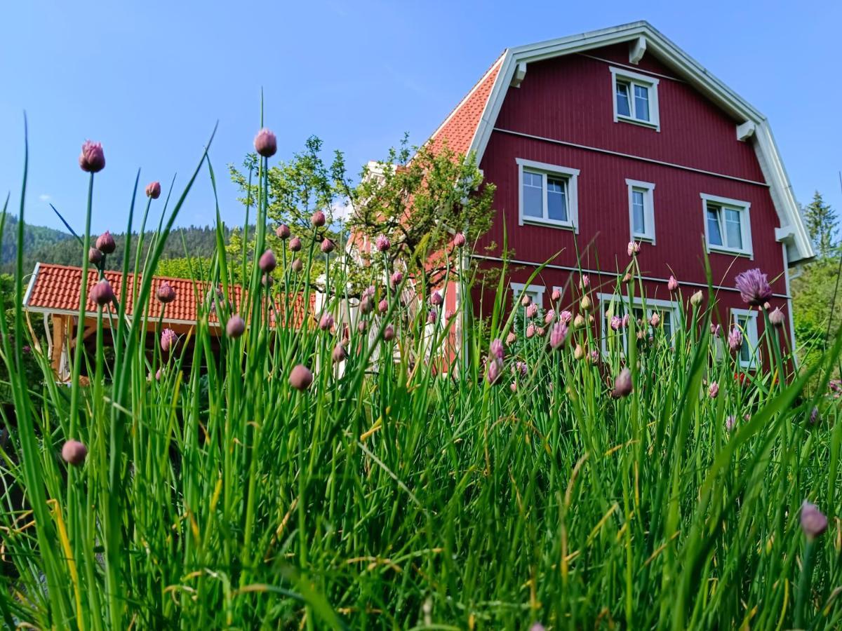 Haus Gruenfels Apartment Murau Eksteriør billede