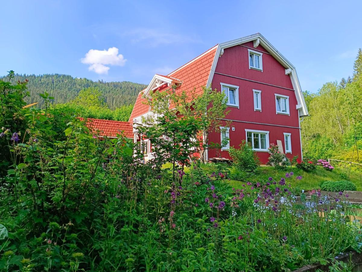 Haus Gruenfels Apartment Murau Eksteriør billede